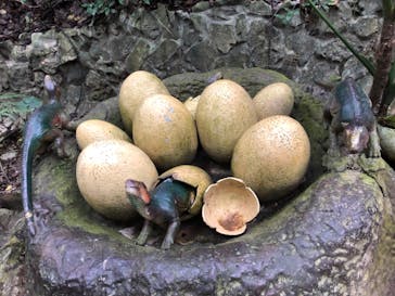 御菓子御殿　名護店　やんばる亜熱帯の森DINO恐竜PARKに投稿された画像（2022/2/25）