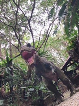 御菓子御殿　名護店　やんばる亜熱帯の森DINO恐竜PARKに投稿された画像（2022/2/25）