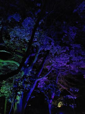 江の島シーキャンドルに投稿された画像（2022/2/25）