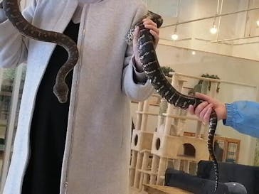 Moff animal world BIGHOPガーデンモール印西店に投稿された画像（2022/2/24）