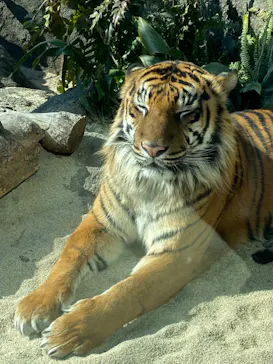 神戸どうぶつ王国に投稿された画像（2022/2/25）