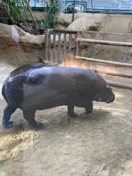 神戸どうぶつ王国に投稿された画像（2022/2/25）