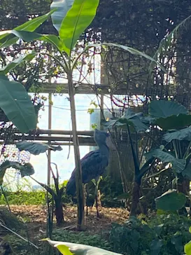 神戸どうぶつ王国に投稿された画像（2022/2/25）