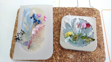 ずこうしつ〜sugamo〜に投稿された画像（2022/2/26）