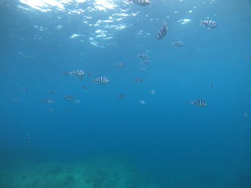 武藤潜水に投稿された画像（2022/2/26）