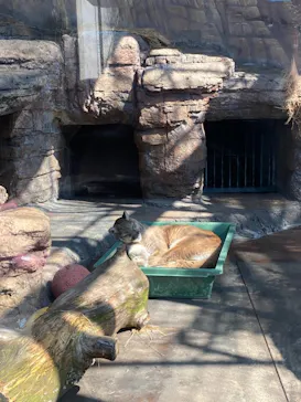 天王寺動物園に投稿された画像（2022/2/26）