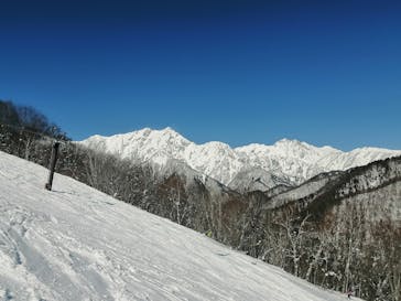 鹿島槍スキー場 ファミリーパークに投稿された画像（2022/2/26）
