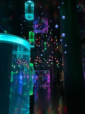 マクセル アクアパーク品川に投稿された画像（2022/2/26）