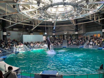 マクセル アクアパーク品川に投稿された画像（2022/2/26）