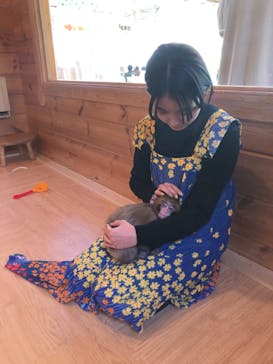 おさるランド＆アニタウン　日光さる軍団劇場に投稿された画像（2022/2/26）