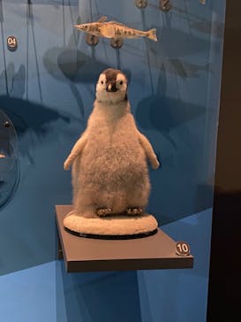 国立科学博物館に投稿された画像（2022/2/26）