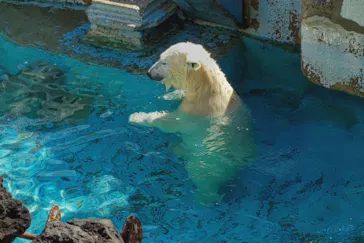 天王寺動物園に投稿された画像（2022/2/26）
