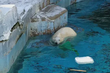 天王寺動物園に投稿された画像（2022/2/26）