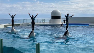 鴨川シーワールドに投稿された画像（2022/2/26）