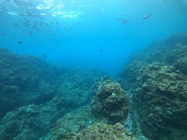 武藤潜水に投稿された画像（2022/2/26）