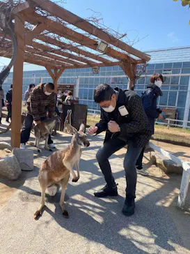 神戸どうぶつ王国に投稿された画像（2022/2/26）