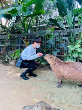 神戸どうぶつ王国に投稿された画像（2022/2/26）