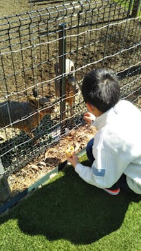 まかいの牧場に投稿された画像（2022/2/26）