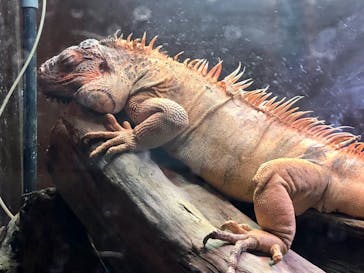 マクセル アクアパーク品川に投稿された画像（2022/2/26）