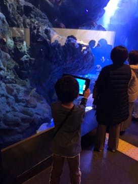 マクセル アクアパーク品川に投稿された画像（2022/2/26）