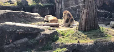 天王寺動物園に投稿された画像（2022/2/26）