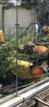 天王寺動物園に投稿された画像（2022/2/26）