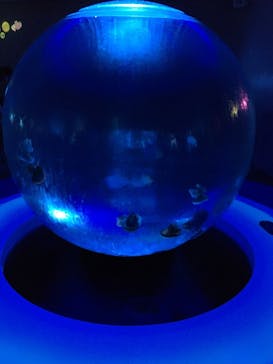 湘南モノレール大船駅に投稿された画像（2022/2/26）