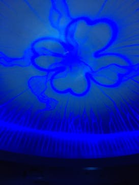 湘南モノレール大船駅に投稿された画像（2022/2/26）