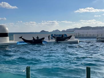 鴨川シーワールドに投稿された画像（2022/2/26）