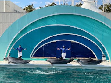 鴨川シーワールドに投稿された画像（2022/2/26）