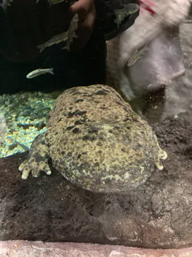 天王寺動物園に投稿された画像（2022/2/26）