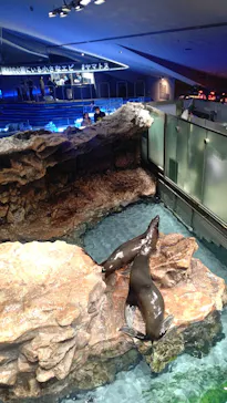 すみだ水族館に投稿された画像（2022/2/26）