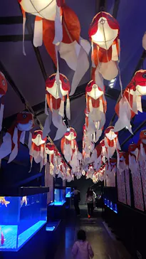 すみだ水族館に投稿された画像（2022/2/26）