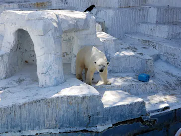 天王寺動物園に投稿された画像（2022/2/26）