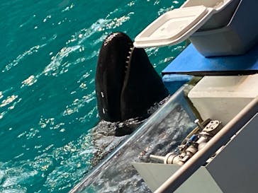 マクセル アクアパーク品川に投稿された画像（2022/2/26）