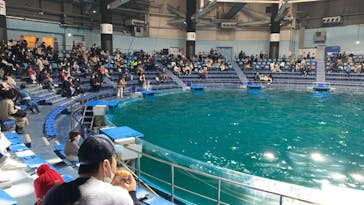 マクセル アクアパーク品川に投稿された画像（2022/2/26）