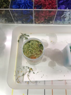 ずこうしつ〜sugamo〜に投稿された画像（2022/2/26）