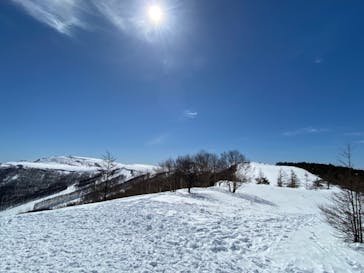 ブランシュたかやまスキーリゾートに投稿された画像（2022/2/26）