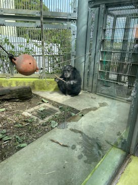 沖縄こどもの国に投稿された画像（2022/2/26）