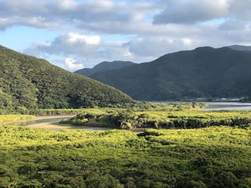 マングローブ茶屋に投稿された画像（2022/2/26）