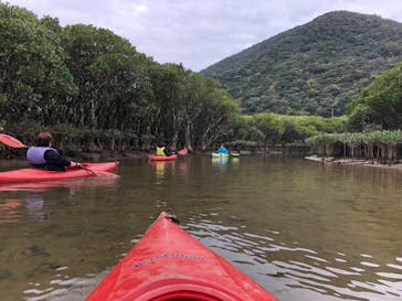 マングローブ茶屋に投稿された画像（2022/2/26）