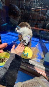 ゼロ距離水族館 伊勢シーパラダイスに投稿された画像（2022/2/26）