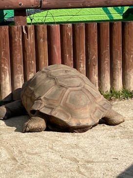 東武動物公園に投稿された画像（2022/2/26）