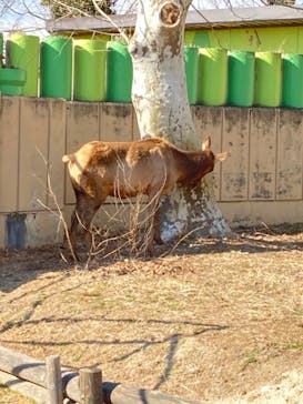 東武動物公園に投稿された画像（2022/2/26）