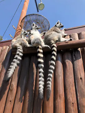 神戸どうぶつ王国に投稿された画像（2022/2/26）