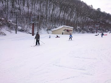 やぶはら高原スキー場に投稿された画像（2022/2/26）