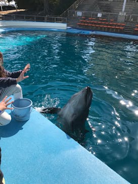 南知多ビーチランド＆南知多おもちゃ王国に投稿された画像（2022/2/26）