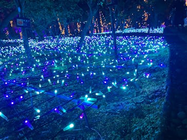 江の島シーキャンドルに投稿された画像（2022/2/26）