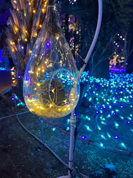 江の島シーキャンドルに投稿された画像（2022/2/26）