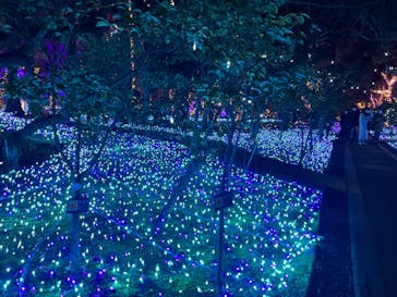 江の島シーキャンドルに投稿された画像（2022/2/26）